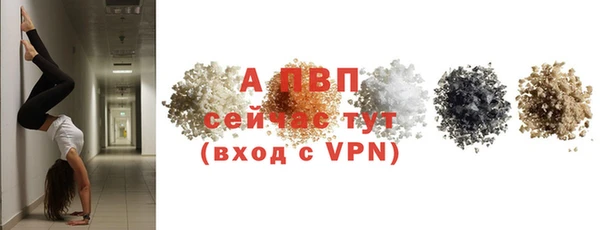 крисы Медвежьегорск