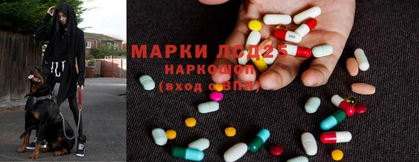 крисы Медвежьегорск