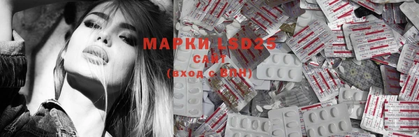 ECSTASY Медногорск