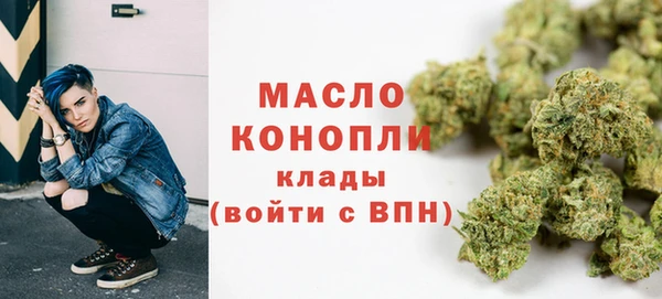 крисы Медвежьегорск